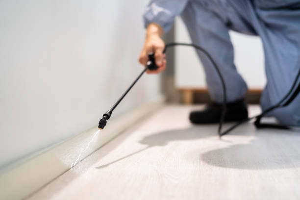 Professional exterminator conducting IPM assessment in Flowery Branch